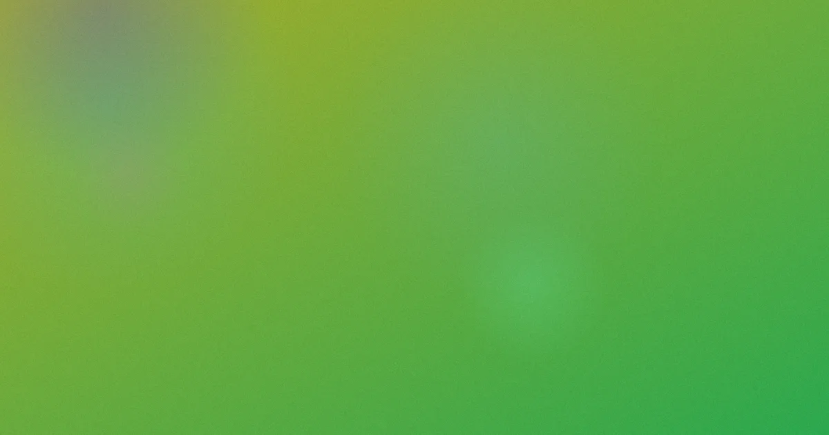 草莓视频在线观看视频推荐：新手对比